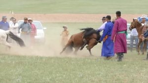 Mongolian Rodeo Naadam Монгол морь, наадам