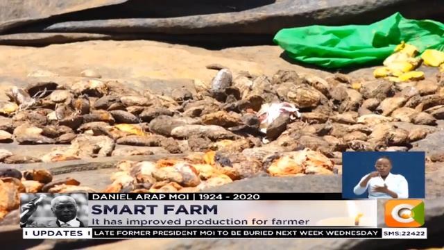 | SMART FARM | Focus on Integrated farming in Homa Bay county смотреть онлайн