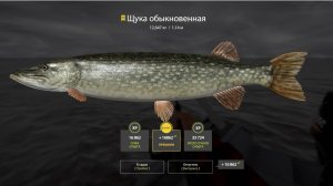 НОВЫЙ ФАРМ НА ЛАДОЖСКОМ АРХИПЕЛАГЕ В РУССКОЙ РЫБАЛКЕ 4 РР4