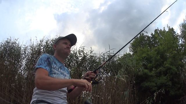 За пару часов наловил щук! Щука летом.