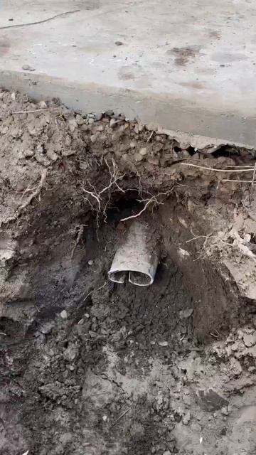 Слабоумие и экономия #youtube #top #shortvideo #tiktok #shortsvideo смотреть онлайн