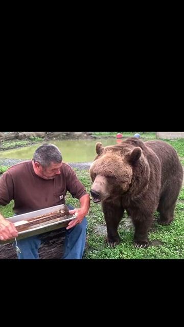 You can have your own Leo bear! Created by Shelter Pets, we get 5% of purchase. You can save 15%! смотреть онлайн