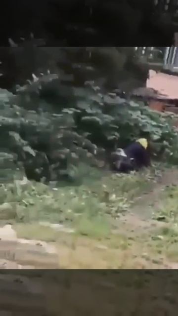 Дольче габана смотреть онлайн