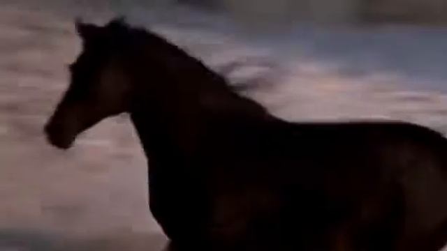 Сила, скорость, грация, мощь и история о нашем диком табуне восточных лошадей. смотреть онлайн