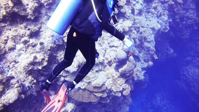 SCUBA @ Turks & Caicos - Thunder Dome dive смотреть онлайн