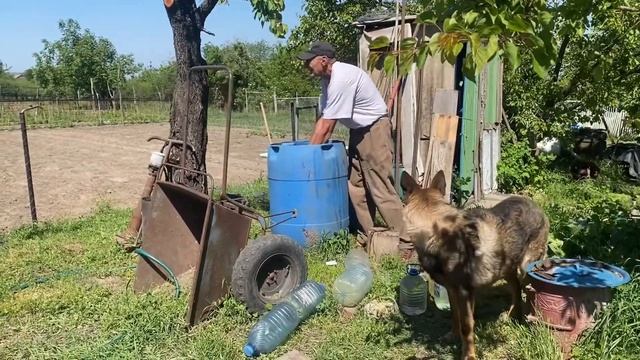 Таня приложилась.😄 Встречаем всем ютюбом.😄 Порядок в вольере. 😄🐶 смотреть онлайн
