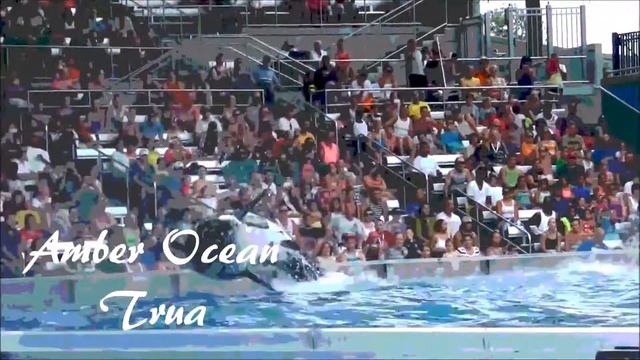 MEP Part for Val Forever смотреть онлайн