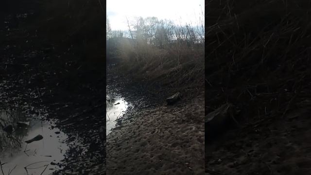 р.Коломенка(1) смотреть онлайн