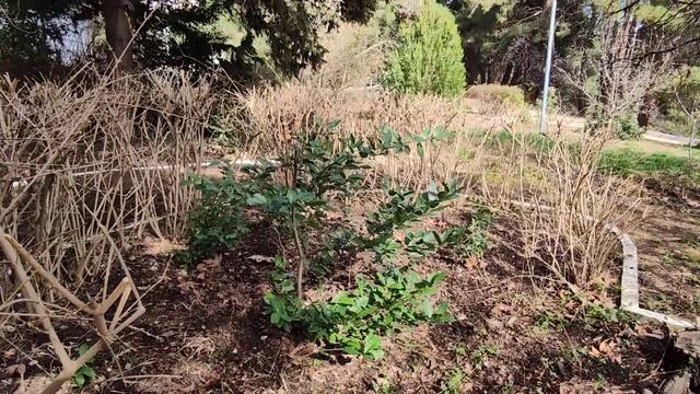 Уборка территории