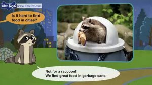 12. Meet the Animals 12  Raccoon  Wild Animals  Little Fox  Animated Stories for Kids