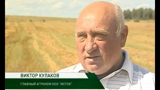 Уборка льна  23 08 16