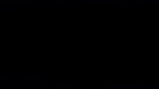 Это не кошка ,это белка летяга