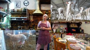 НАШИ ЛАКОНЧИКИ РОДИЛИСЬ🐐🐐🐐