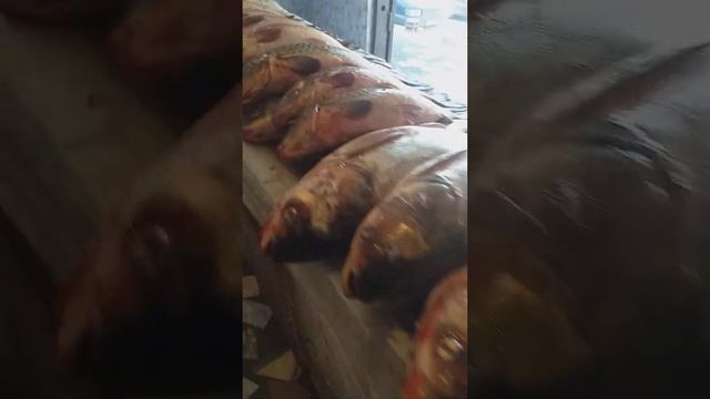 Балык базары.