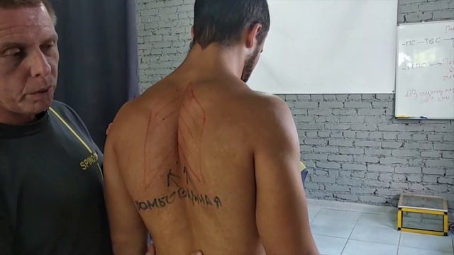 3_упражнения_для_красивой_осанки_ромбовидная_мышца смотреть онлайн