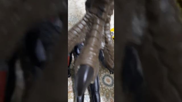 Тиранозавр против Спинозавра смотреть онлайн