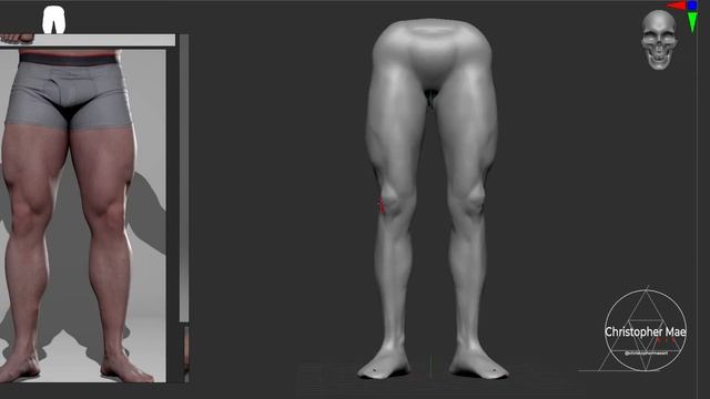 Anatomy study - Legs #Marmosettoolbag4 #wacom #zbrush #anatomystudy смотреть онлайн