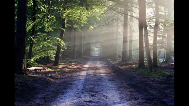 Relaxing Music For Stress Relief Reading Study Meditation Spa ,..... смотреть онлайн