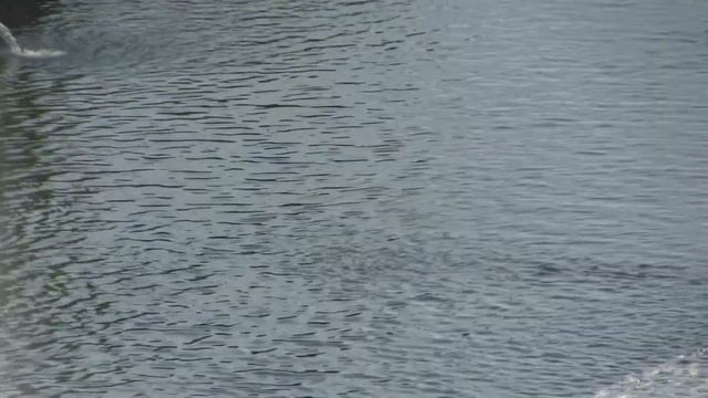 Петродворец-3 смотреть онлайн