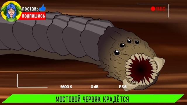 КТО СИЛЬНЕЕ ЧЕРВЬ ПОЖИРАТЕЛЬ ПРОТИВ МОСТОРОГО ЧЕРВЯ ► ПАРОДИЯ ПЕСНЯ scp eater Анимации смотреть онлайн