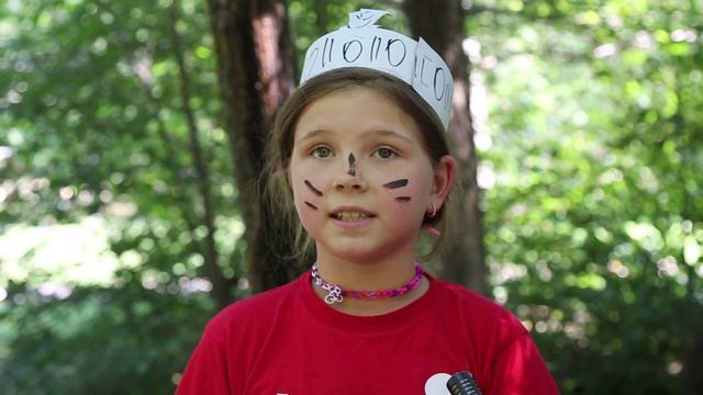 Отзывы детей о наших выездных лингвистических лагерях смотреть онлайн