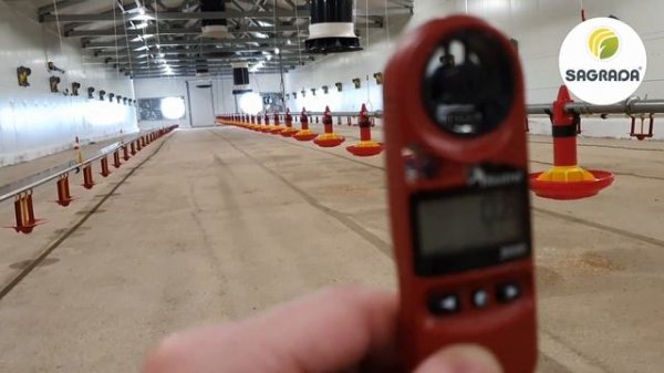 Туннельная вентиляция в птичнике | Оборудование SAGRADA