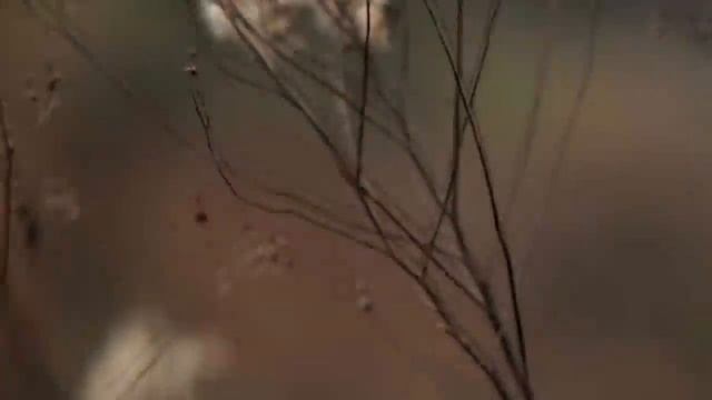 Поздняя осень смотреть онлайн