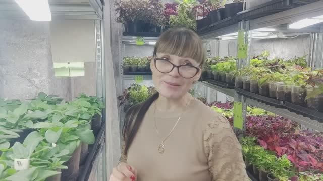 Мой ОГРОМНЫЙ Сад на Стеллажах - Февральский Обзор!. Как вырастить отличную рассаду цветов зимой. смотреть онлайн