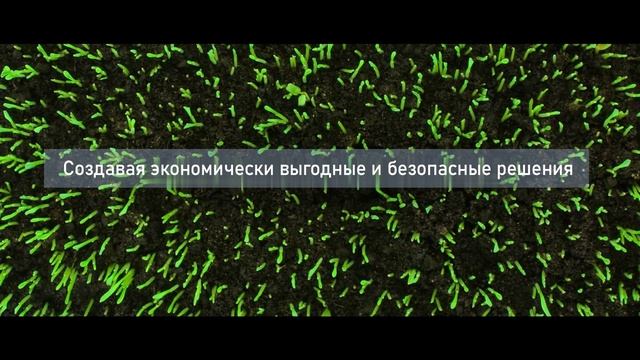 Корпоративное видео смотреть онлайн
