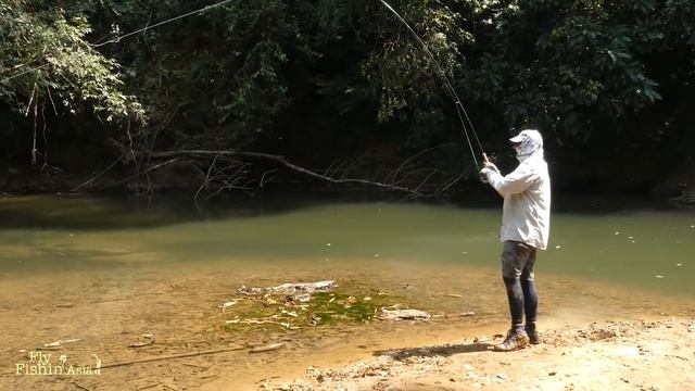Mahseer Fly Fishing In Thailand With David's Fishing