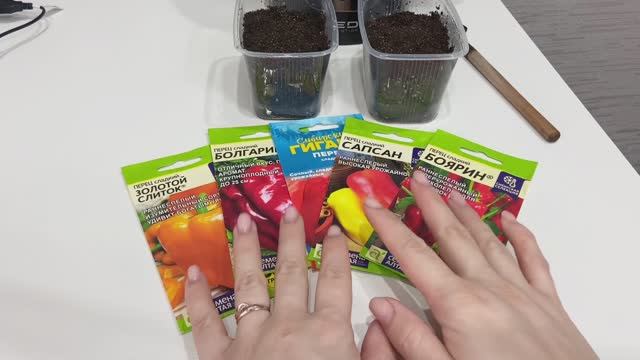 Посеяла среднеспелый перец. смотреть онлайн