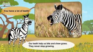 30. Meet the Animals  Horses  Zebra  Stories for Kindergarten