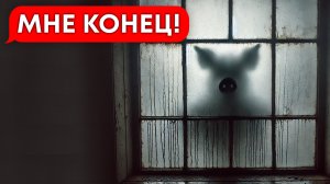 СВИНТУС пришёл на ужин! (переписка Джон Порк, хоррор, личные переписки, чат, страшилка)