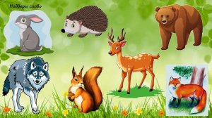 Дикие животные (занятие по лексическая теме, часть 1)