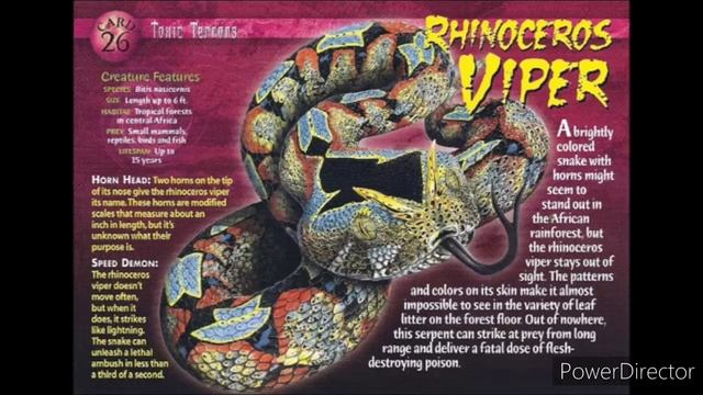 rhinoceros viper sound effects смотреть онлайн
