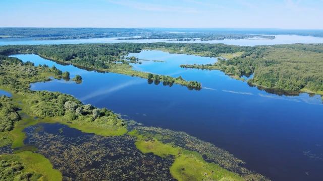 Турнир "Волжская заруба" 2022 смотреть онлайн