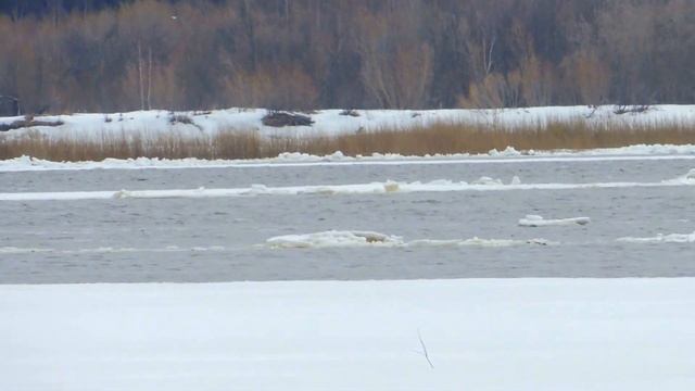 Ледоход на Печоре смотреть онлайн