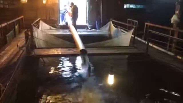 Форелевое пополнение в Живорыбной базе 