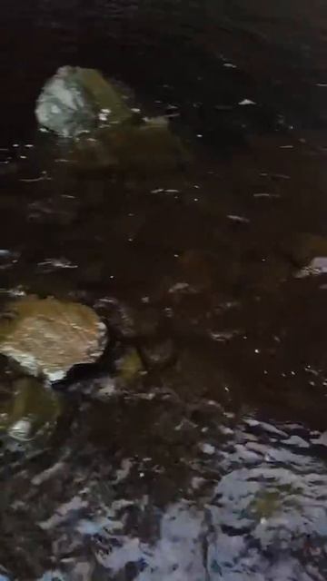 Salmon Falls Resort, Alaska part 6 смотреть онлайн