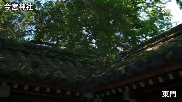 MOZA Mini P × α6400 京都『今宮神社』 смотреть онлайн
