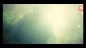 Индоминус рекс клип