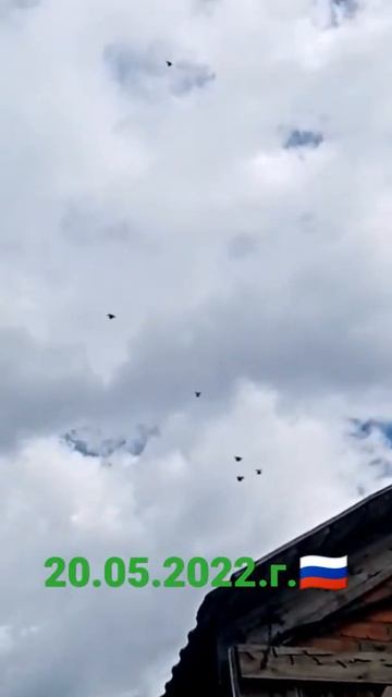 Николаевские Голуби. 20.05.2022.г. Шафоростов. А. ( Бизон ) 🎥🕊️🇷🇺 смотреть онлайн
