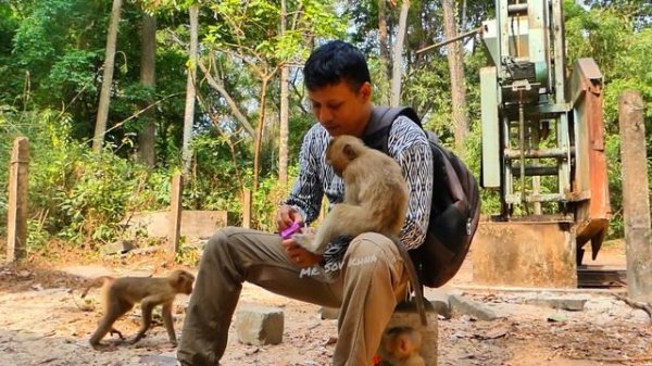 Little monkey Royston and monkey Rainbow is so smart check my my bag find milk drink