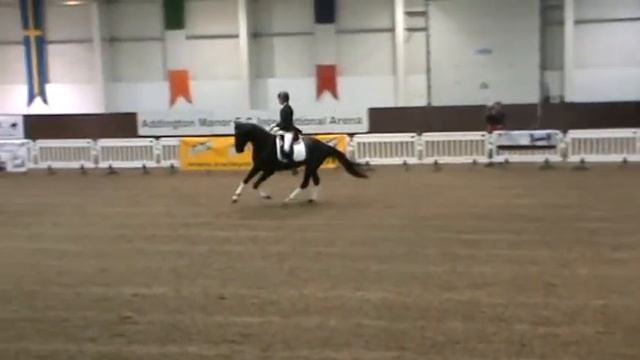 SSGB 2013 Debonair смотреть онлайн