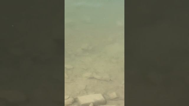 Продолжение ПУТЕШЕСТВИЯ!!! Кипарисовое Озеро!!! Анапа!!!