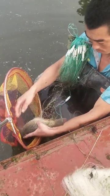 New Primitive Technology FISH TRAP With Fishing KR #short смотреть онлайн