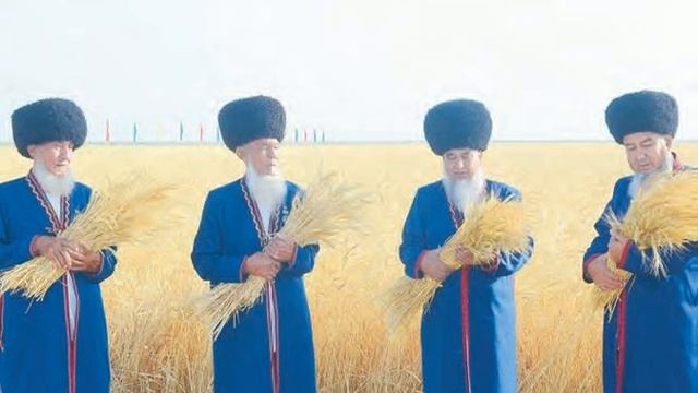 На севере и западе Туркменистана приступили к сбору пшеницы