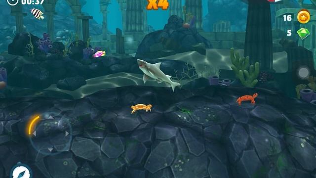 playing hungry shark смотреть онлайн