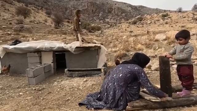 24.11.2023 Сила в одиночку стремление матери установить связь с внешним миром ради Своих малышей смотреть онлайн