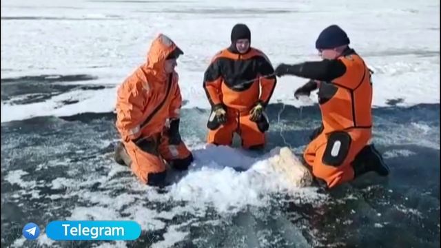 На Амуре провели первые противопаводковые подрывы льда на четырех участках реки.
